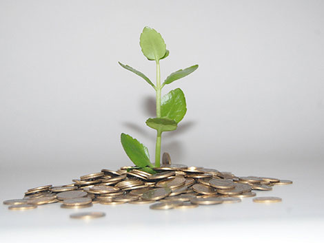 在线短信云呼网